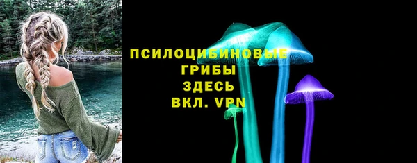 ГАЛЛЮЦИНОГЕННЫЕ ГРИБЫ Алзамай