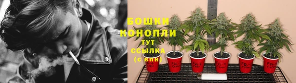 ГАЛЛЮЦИНОГЕННЫЕ ГРИБЫ Алзамай