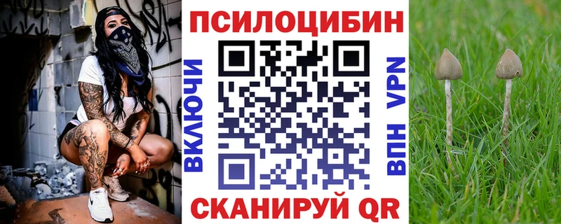 Галлюциногенные грибы ЛСД Магадан